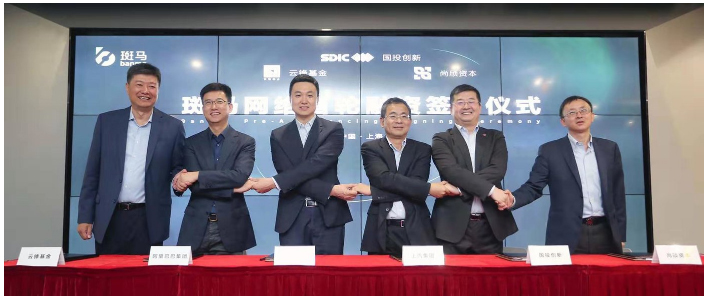 开放的斑马，受益的不止尊龙凯时